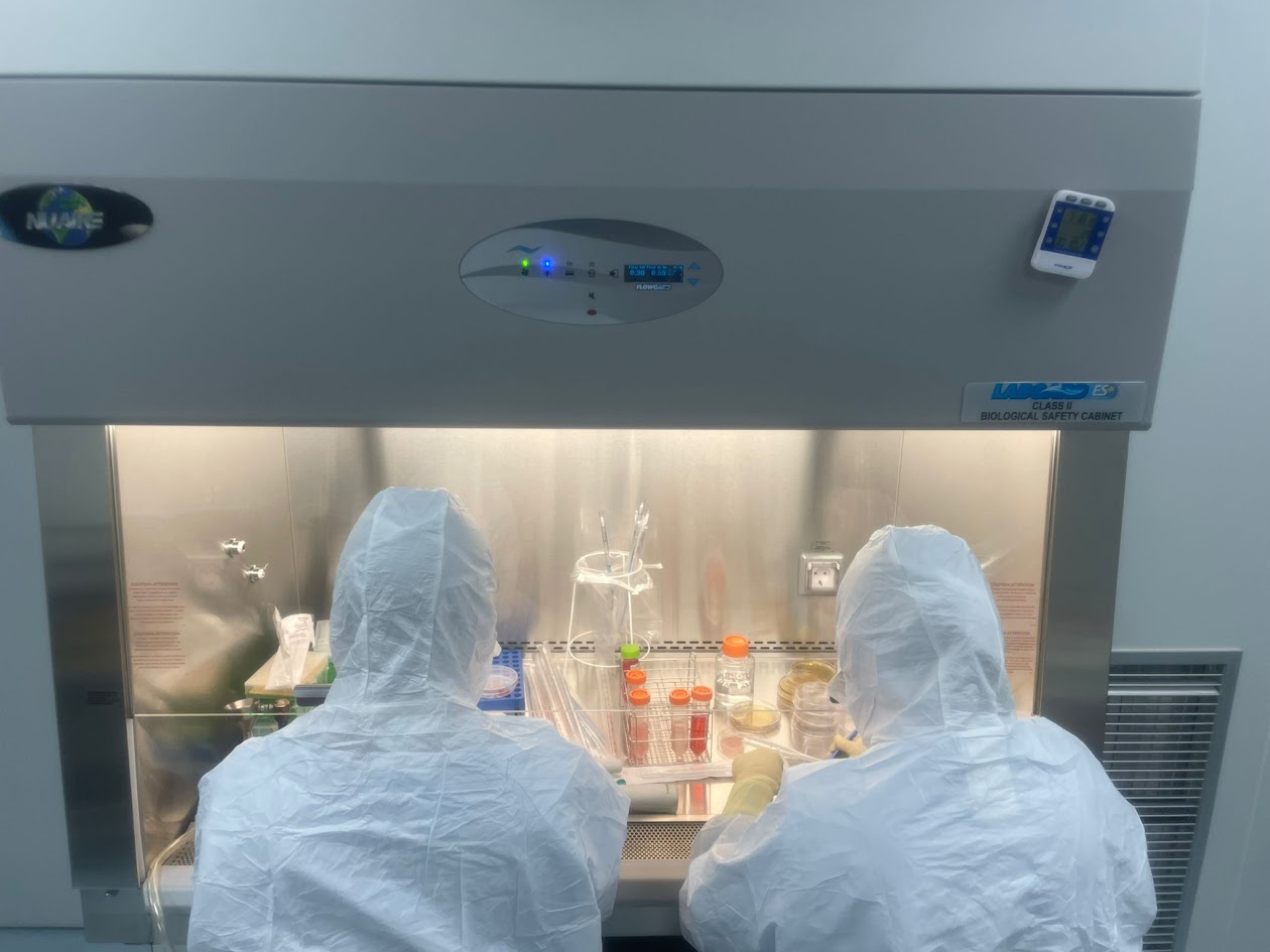 Bdc3162c b8b0 4081 8497 5d6eb05329da